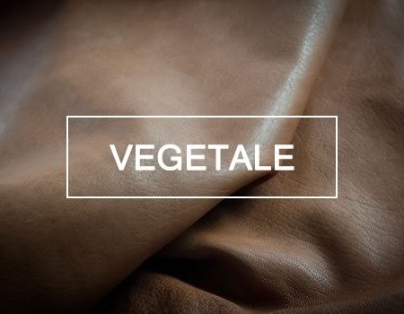 Vegetale